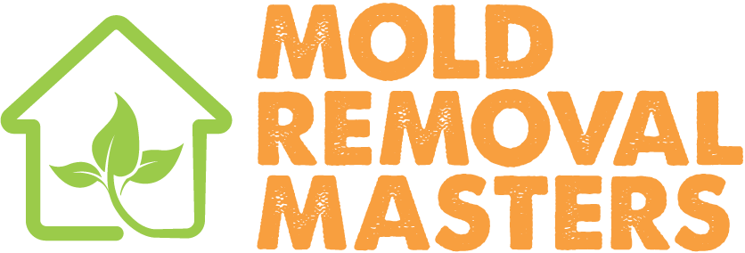 Mold Removal Masters