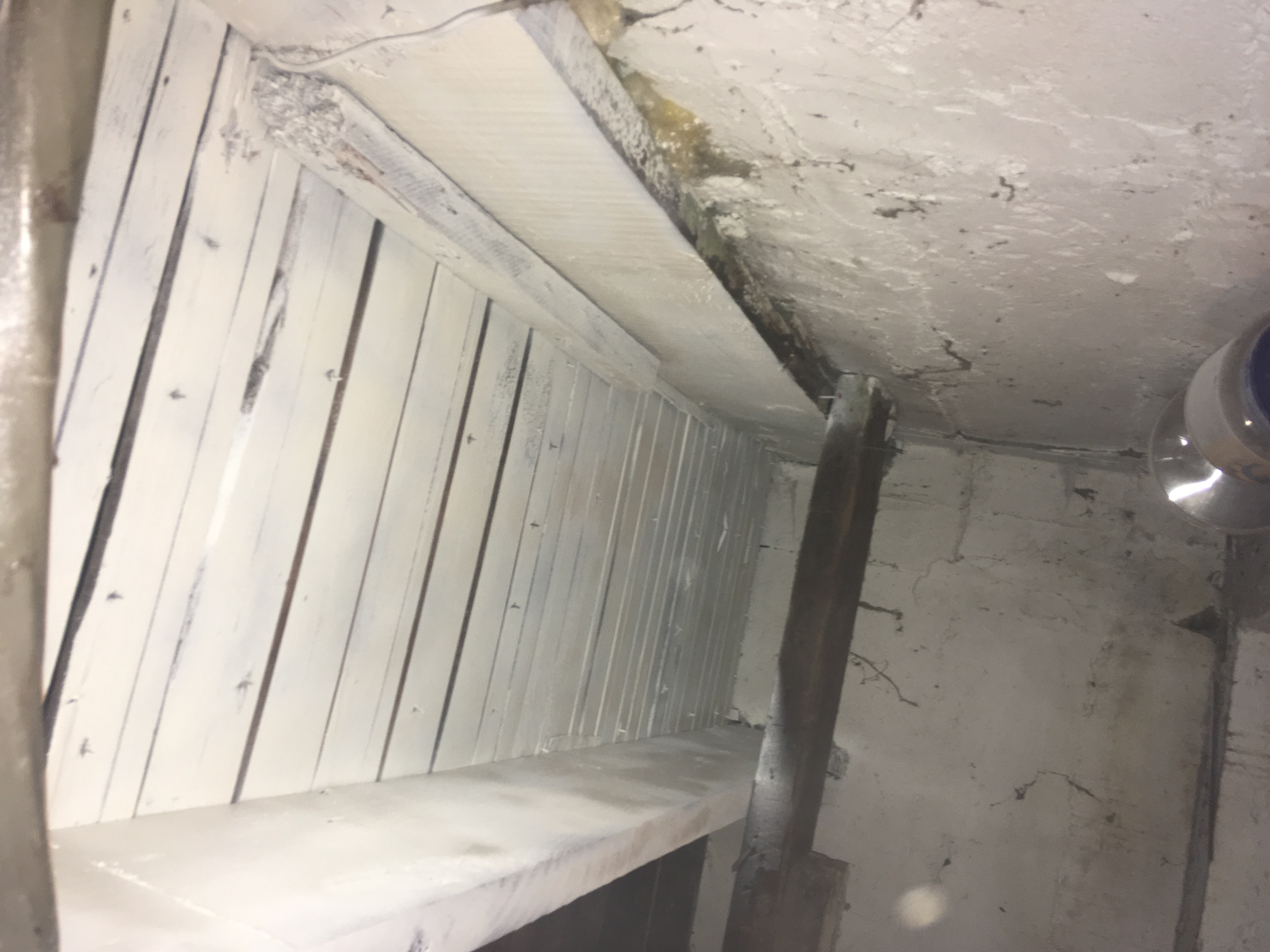 After mold remediation