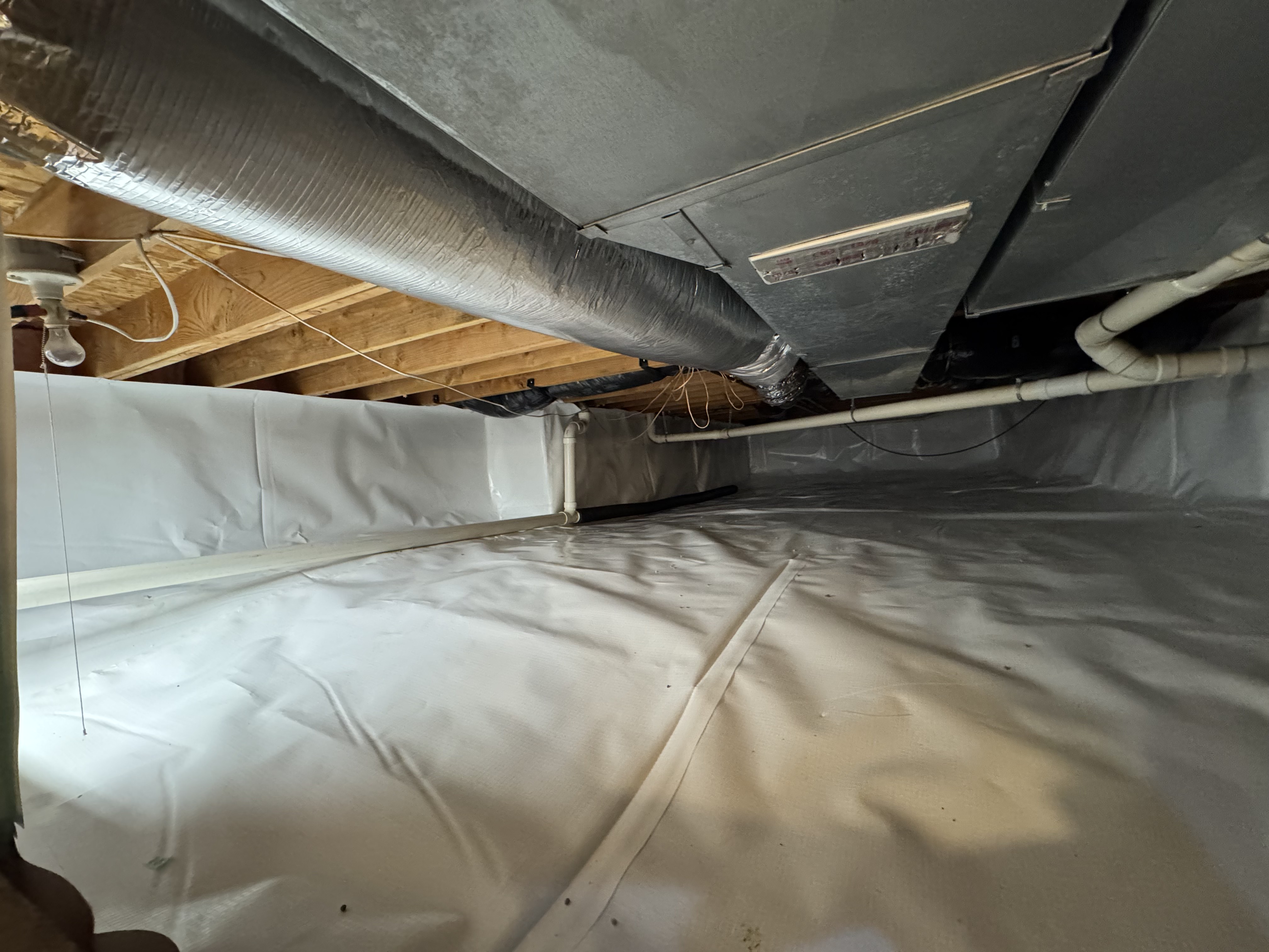 After mold remediation
