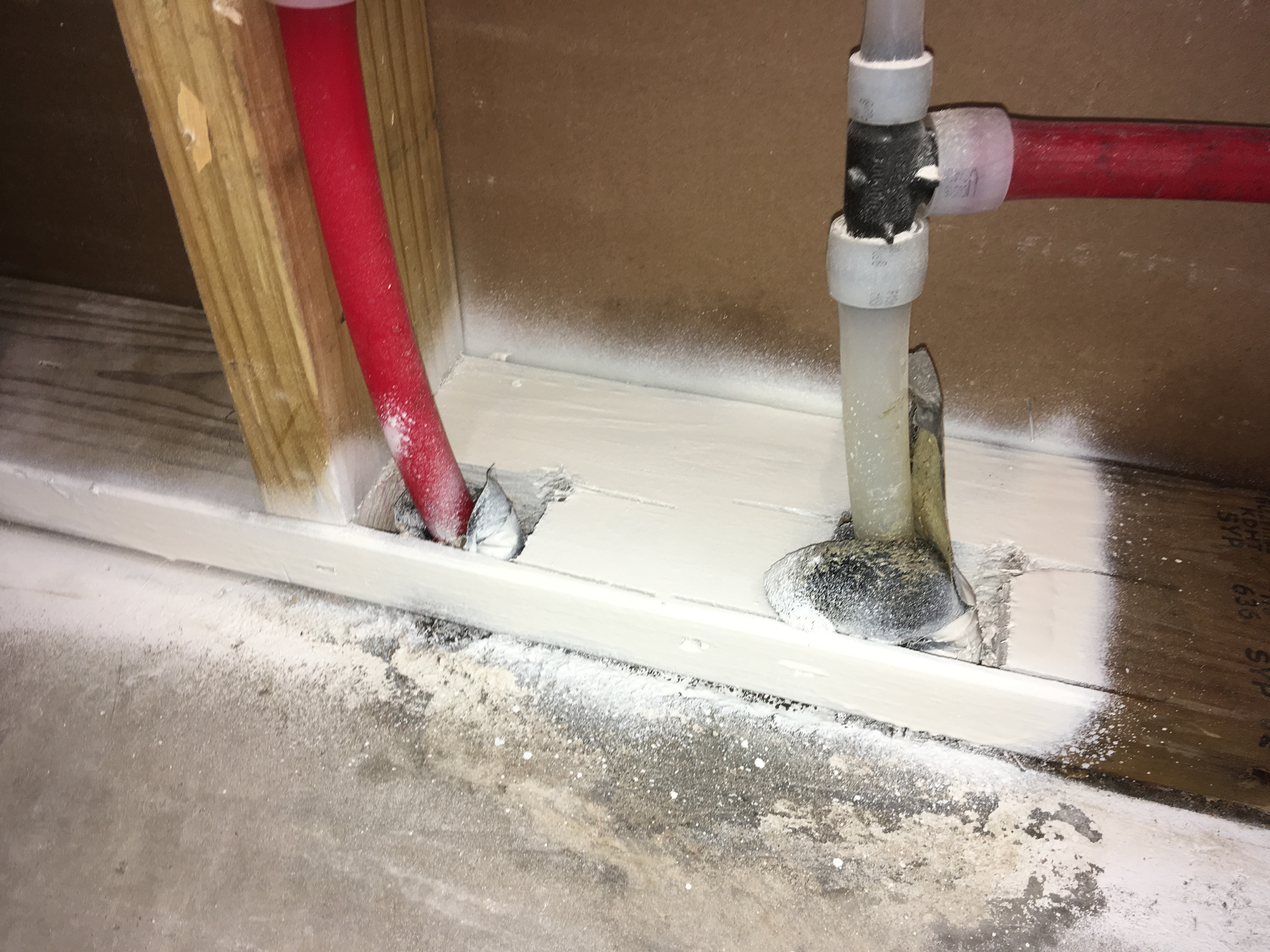 After mold remediation
