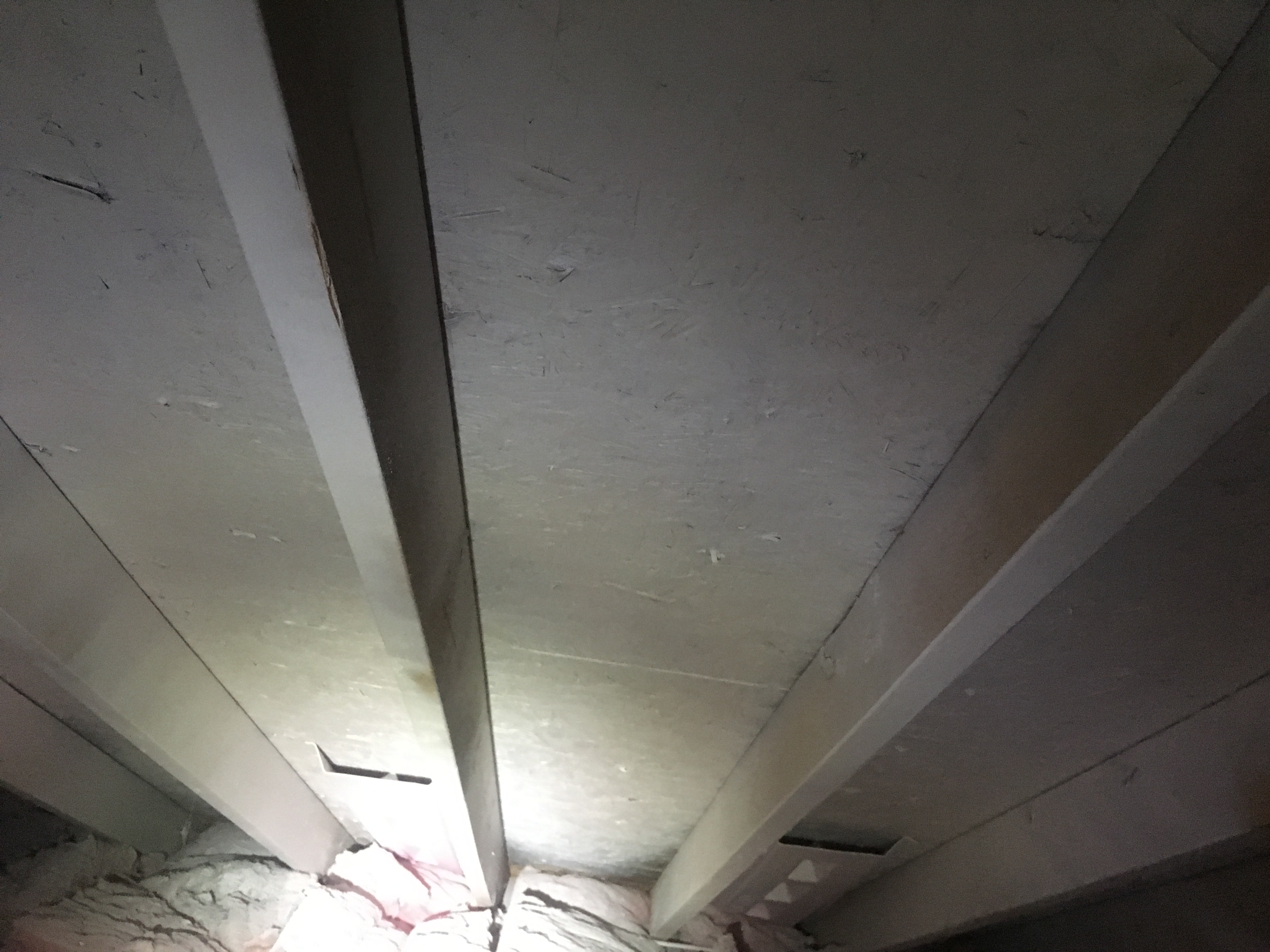 After mold remediation