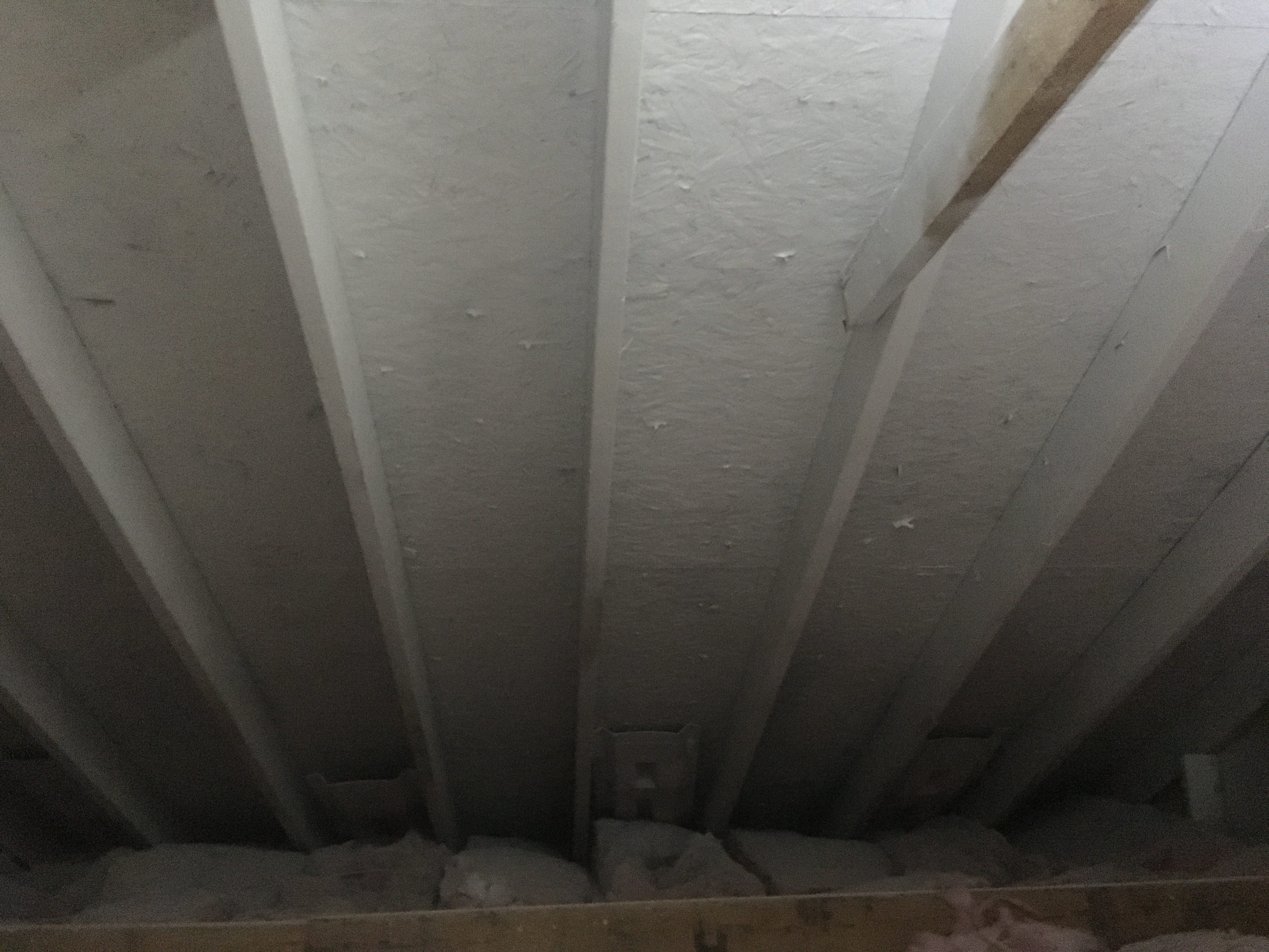 After mold remediation