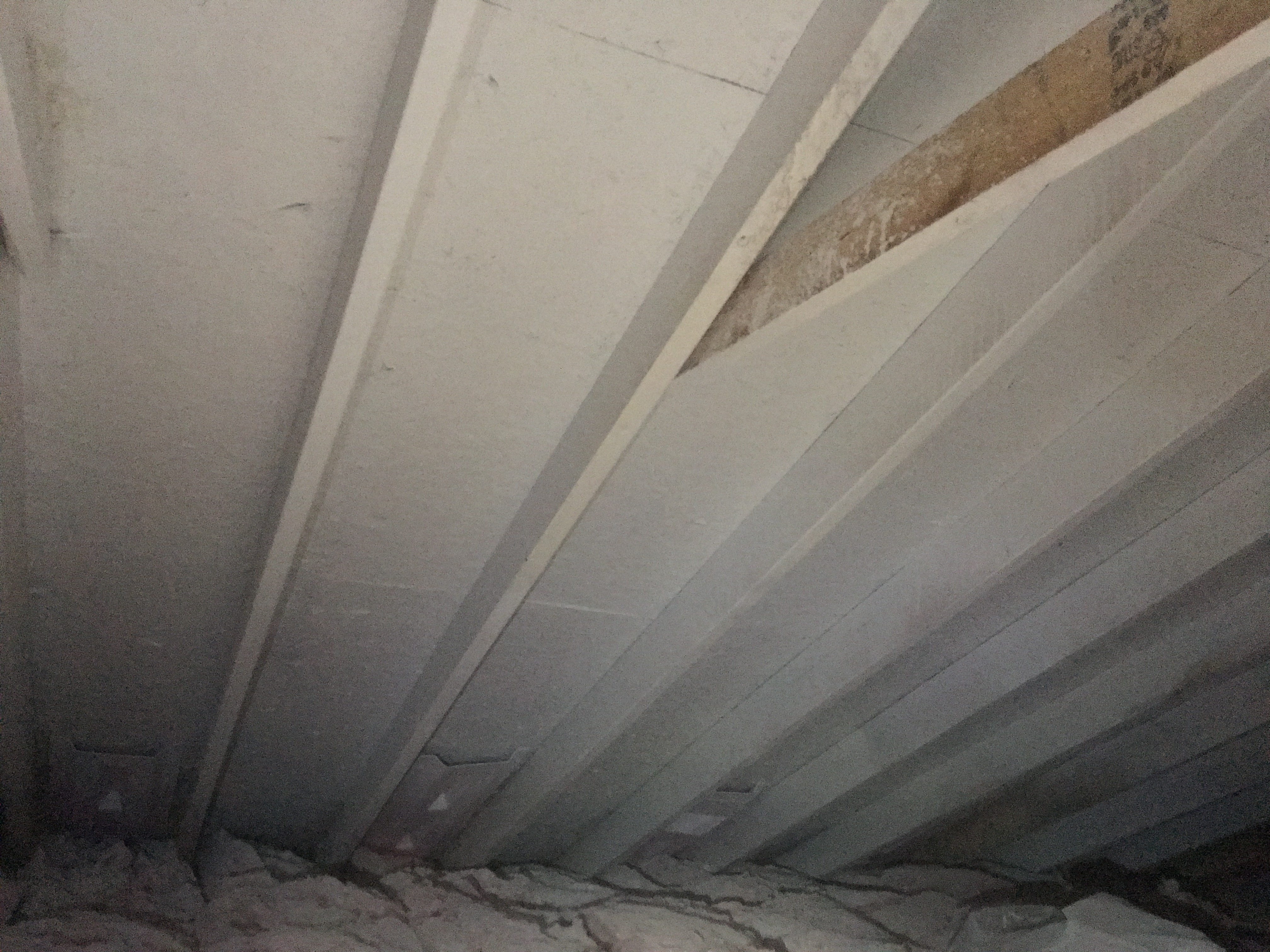 After mold remediation