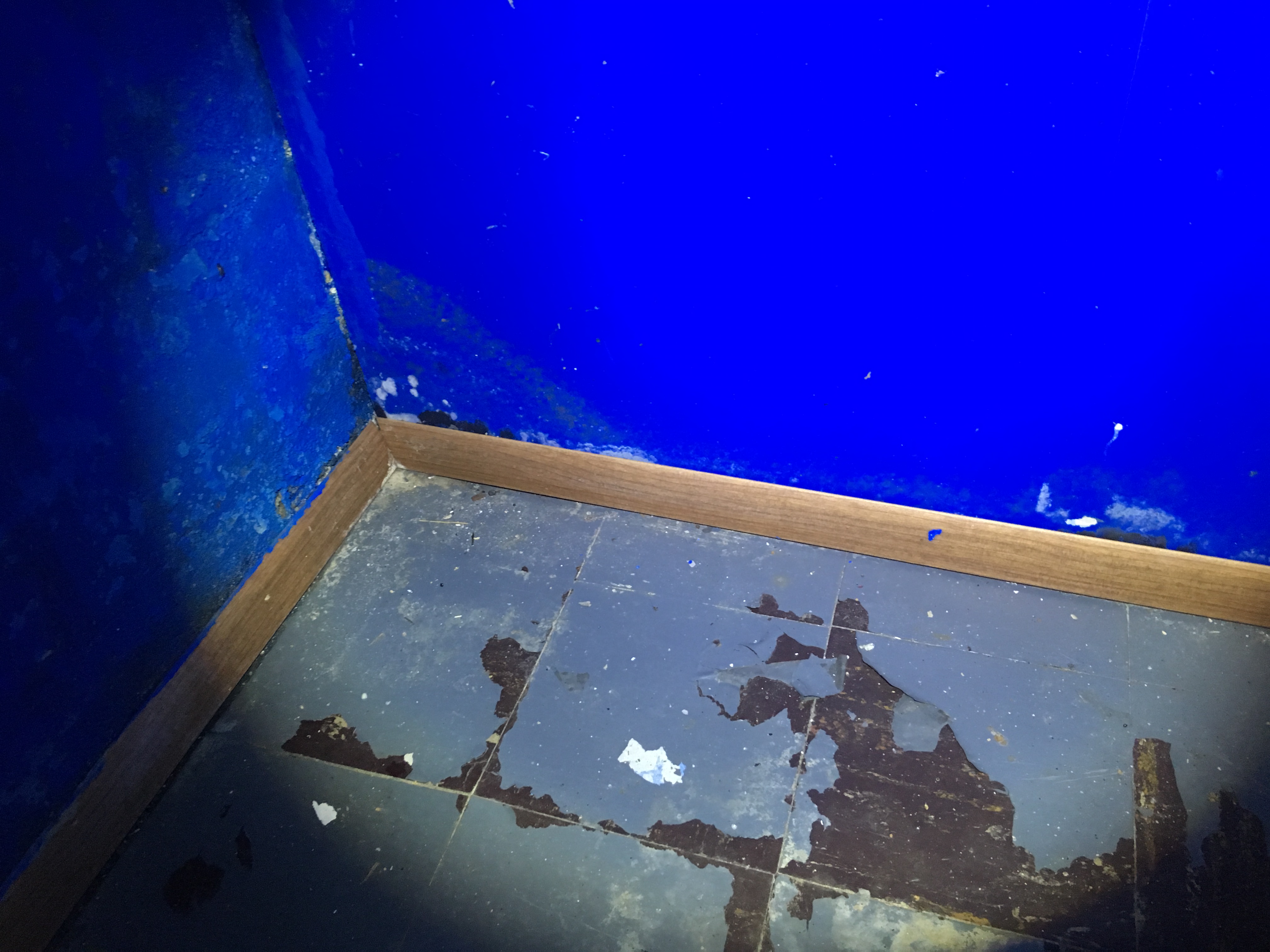 Before mold remediation