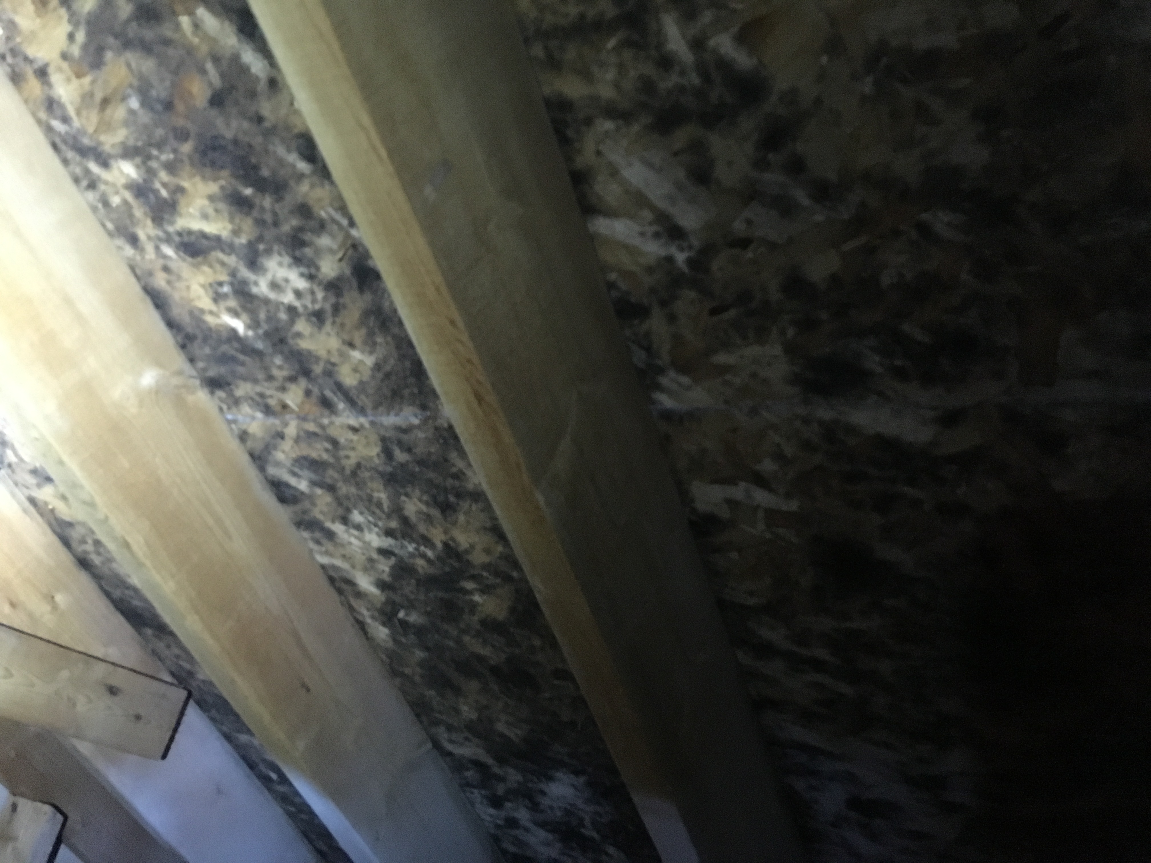 Before mold remediation