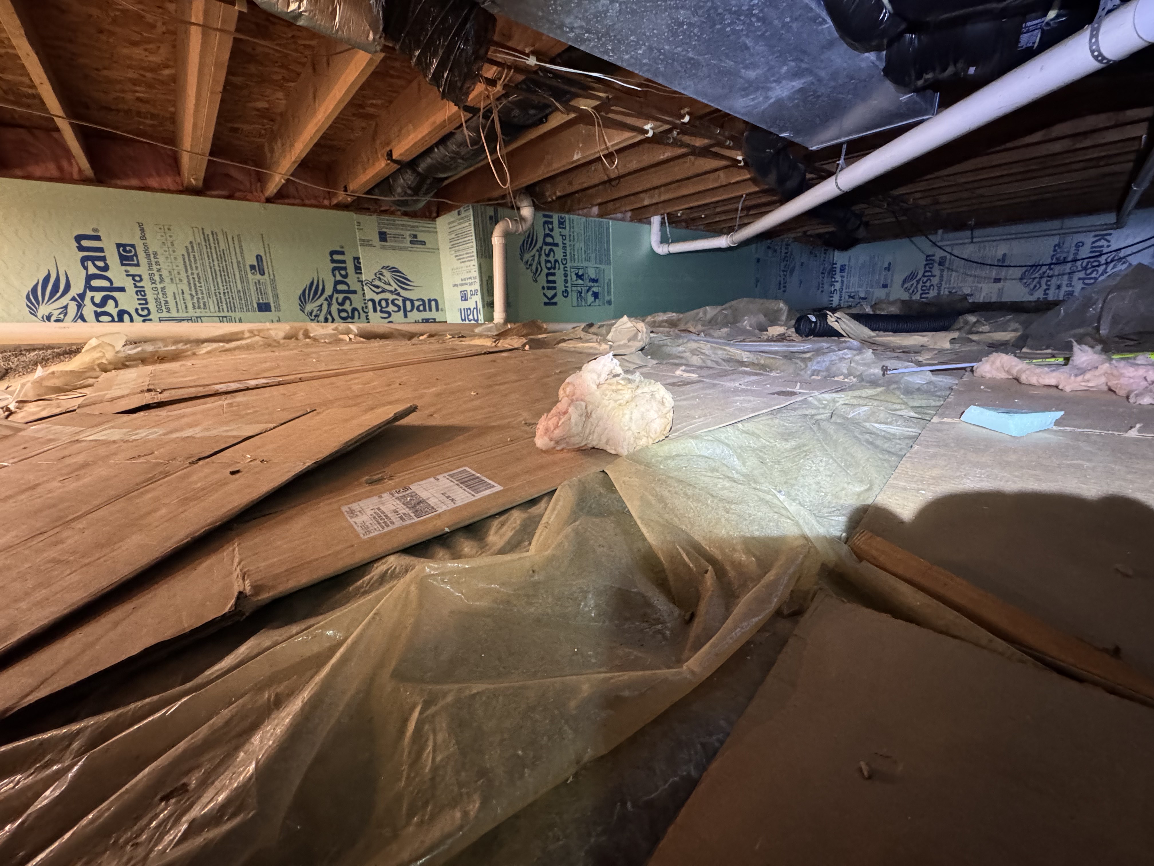 Before mold remediation