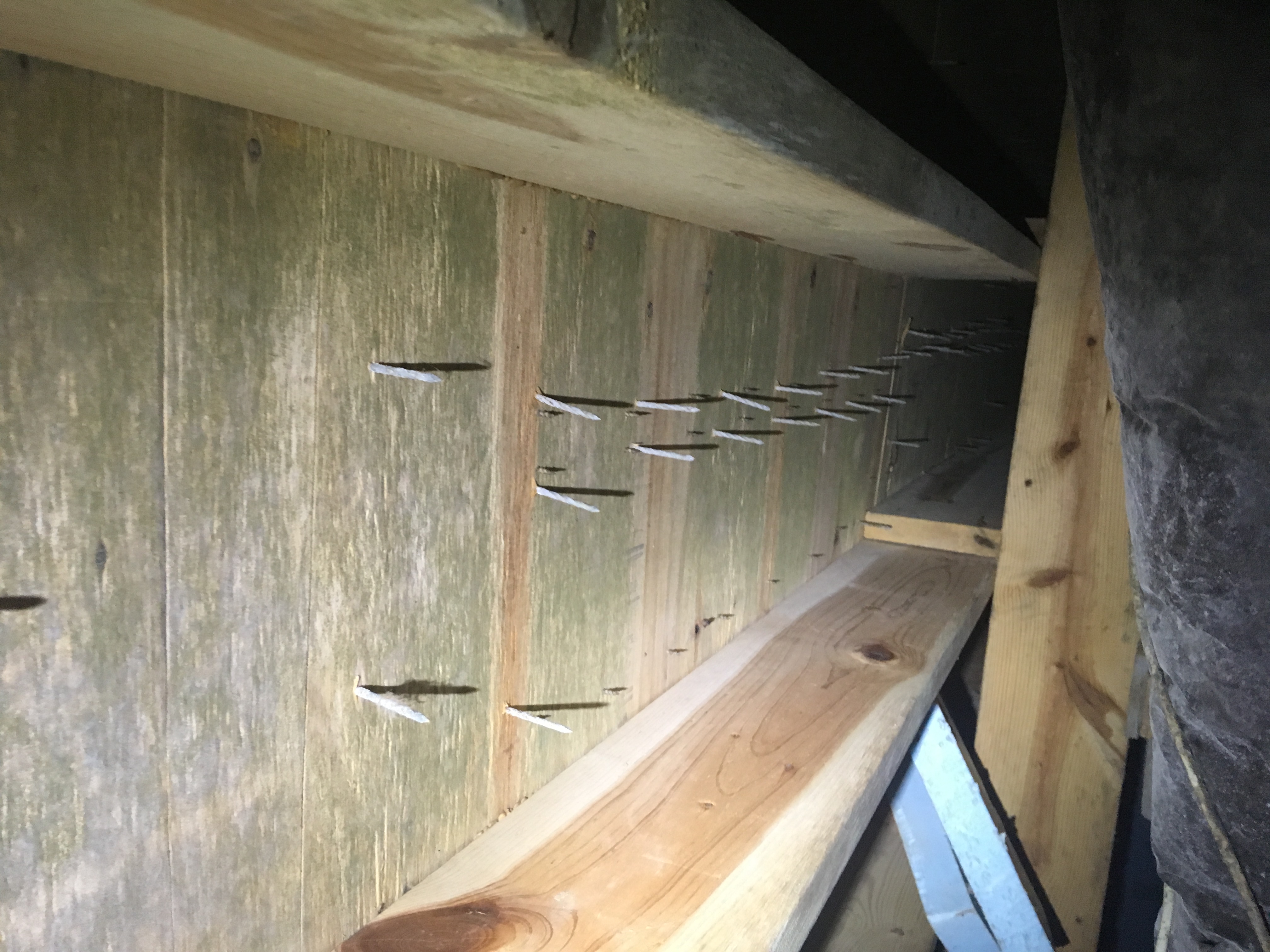 Before mold remediation