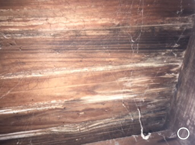 Before mold remediation