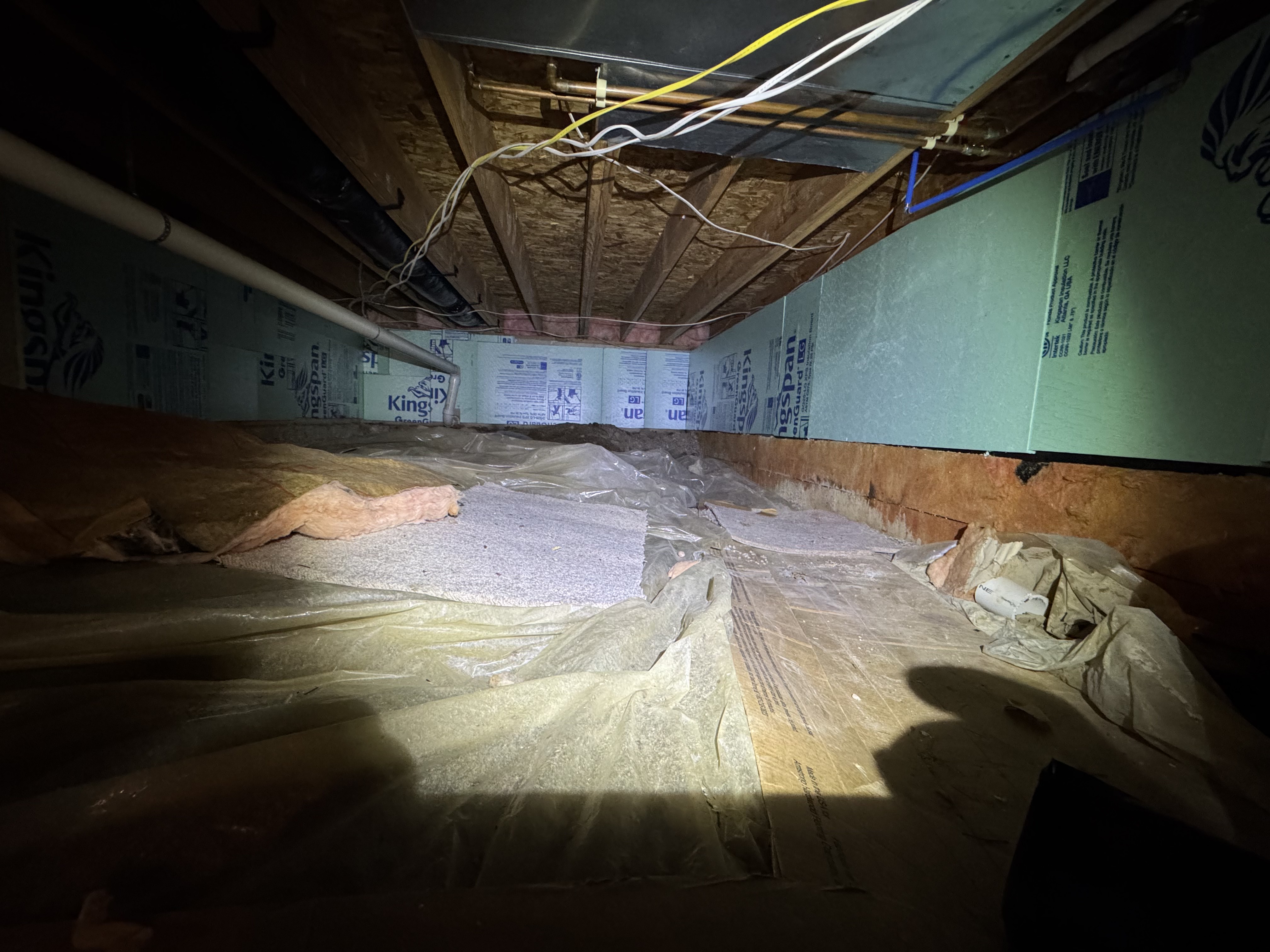 Before mold remediation